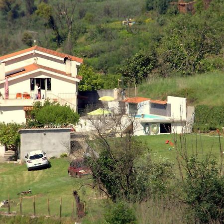 Retiro Na Natureza Casa Com Piscina Digueifel Buitenkant foto