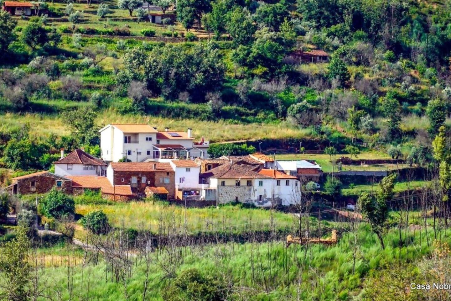 Retiro Na Natureza Casa Com Piscina Digueifel Buitenkant foto